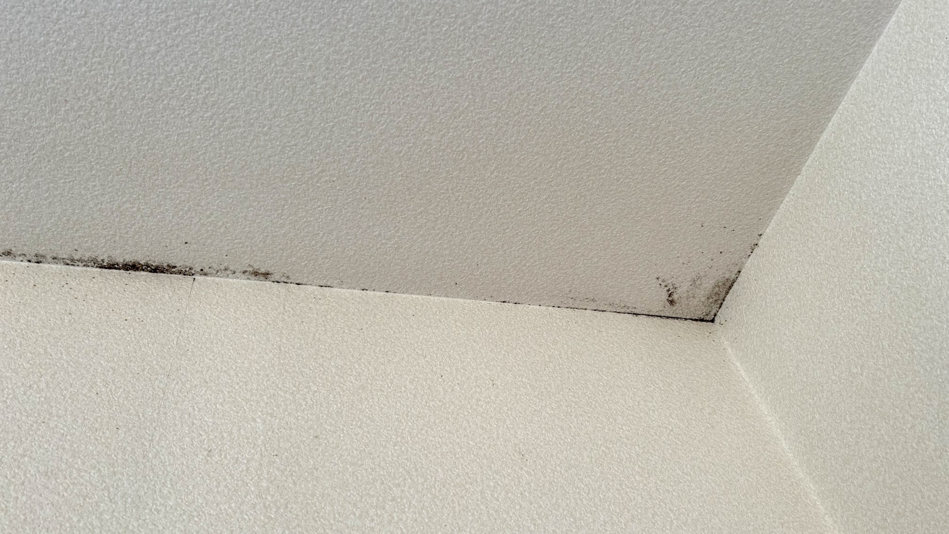 天井の雨漏り修理